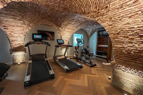 Palácio Ludovice Wine Experience Hotel (gym)